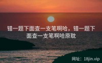 错一题下面查一支笔啊哈，错一题下面查一支笔啊哈原耽