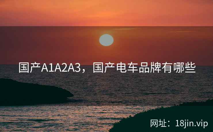 国产A1A2A3，国产电车品牌有哪些