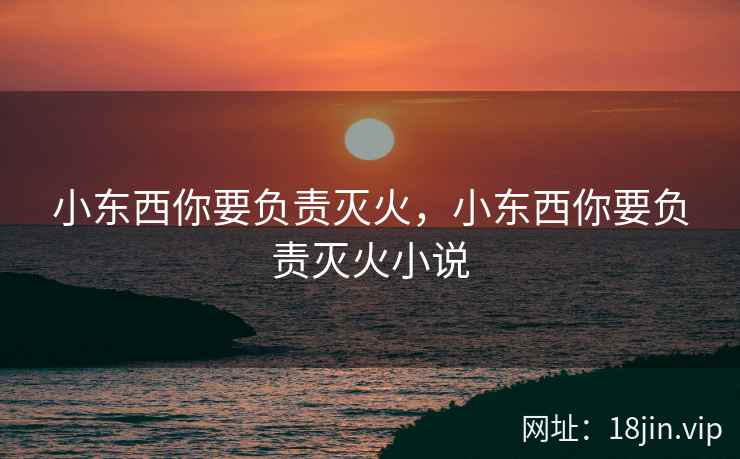 小东西你要负责灭火，小东西你要负责灭火小说