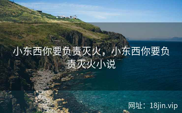 小东西你要负责灭火，小东西你要负责灭火小说