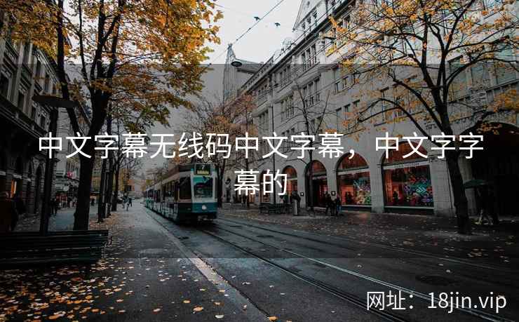 中文字幕无线码中文字幕，中文字字幕的