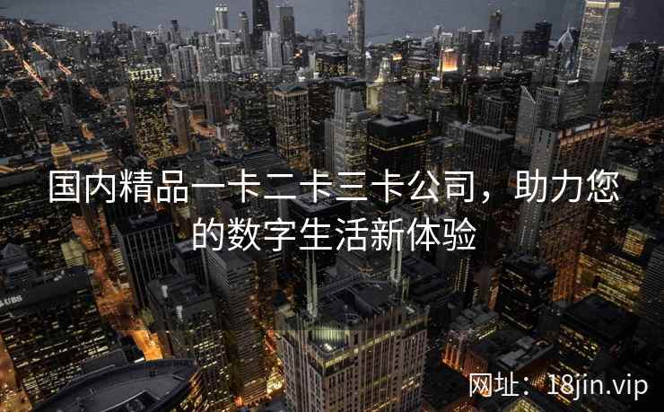 国内精品一卡二卡三卡公司，助力您的数字生活新体验