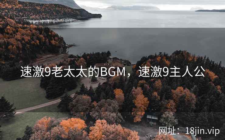 速激9老太太的BGM，速激9主人公