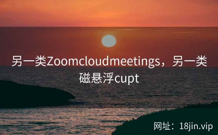 另一类Zoomcloudmeetings，另一类磁悬浮cupt